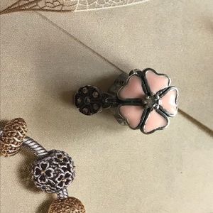 Pandora charm